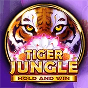 Đội ngũ hỗ trợ và tương lai của 55win nổ hũ